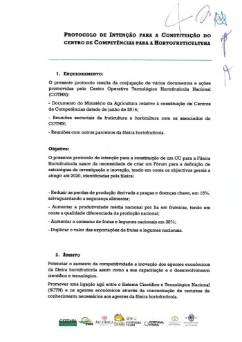 Protocolo de Intenção para a constituição do Centro de Compe ... Imagem 1