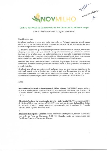 Protocolo de constituição do Centro Nacional de Competências ... Imagem 1