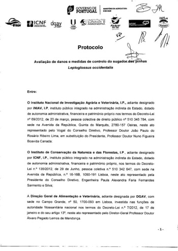 Protocolo para a constituição do grupo de trabalho para aval ... Imagem 1