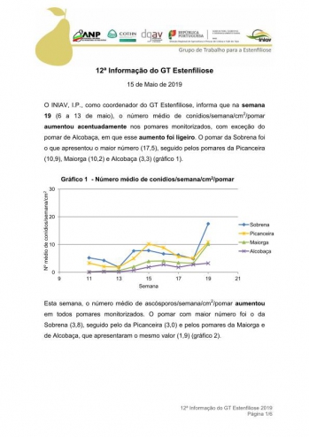 12ª Informação do GT Estenfiliose 2019 Imagem 1