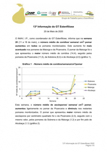 13ª Informação do GT Estenfiliose 2020 Imagem 1