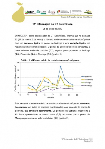 15ª Informação do GT Estenfiliose 2019 Imagem 1