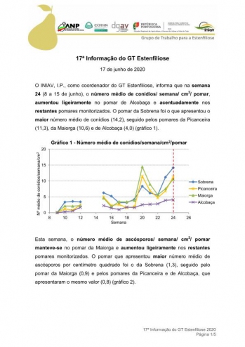 17ª Informação do GT Estenfiliose 2020 Imagem 1