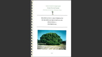Pinheiro-manso Nº19 Imagem 1