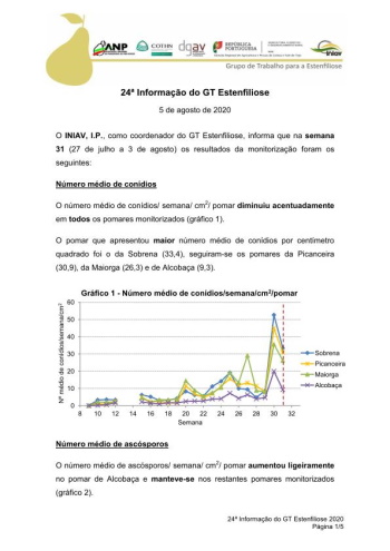 24ª Informação do GT Estenfiliose 2020 Imagem 1