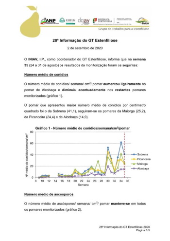 28ª Informação do GT Estenfiliose 2020 Imagem 1