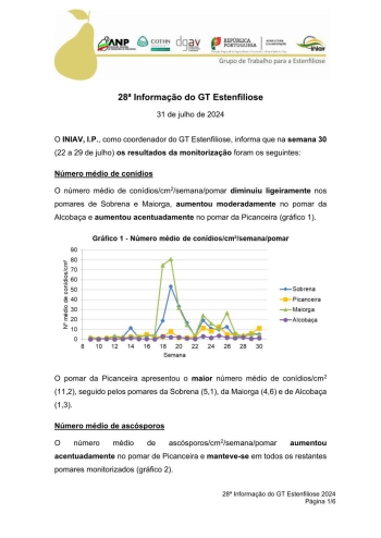 28ª Informação do GT Estenfiliose 2024 Imagem 1