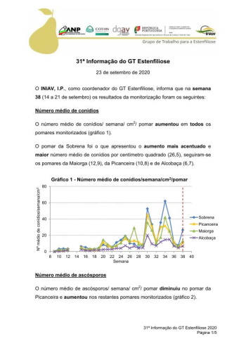 31ª Informação do GT Estenfiliose 2020 Imagem 1