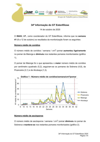 34ª Informação do GT Estenfiliose 2020 Imagem 1