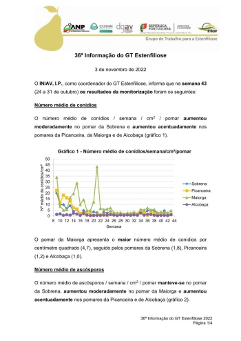 36ª Informação do GT Estenfiliose 2022 Imagem 1