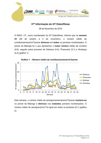 37ª Informação do GT Estenfiliose 2019 Imagem 1