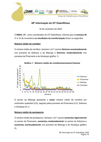 38ª Informação do GT Estenfiliose 2022 Imagem 1