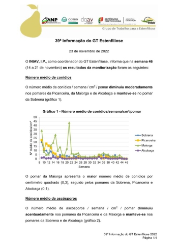 39ª Informação do GT Estenfiliose 2022 Imagem 1