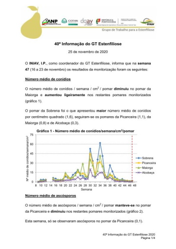 40ª Informação do GT Estenfiliose 2020 Imagem 1