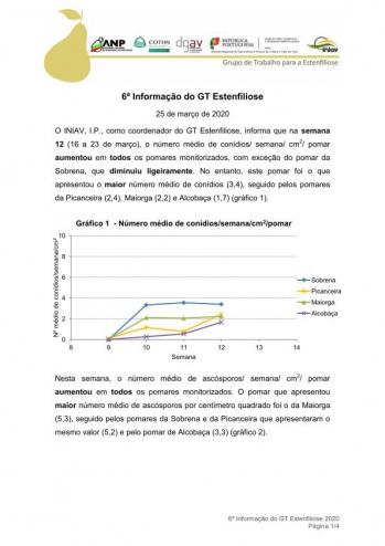 6ª Informação do GT Estenfiliose 2020 Imagem 1