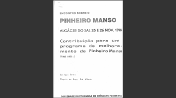 Pinheiro-manso Nº7 Imagem 1