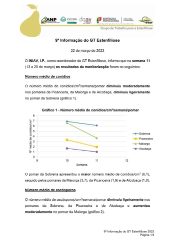 9ª Informação do GT Estenfiliose 2023 Imagem 1