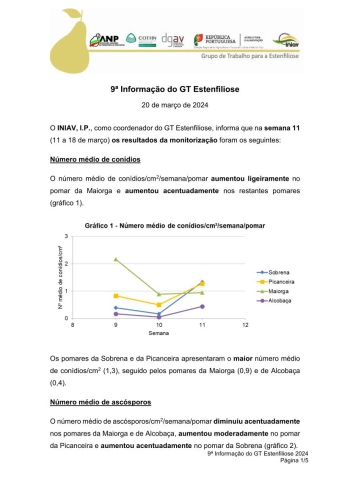 9ª Informação do GT Estenfiliose 2024 Imagem 1