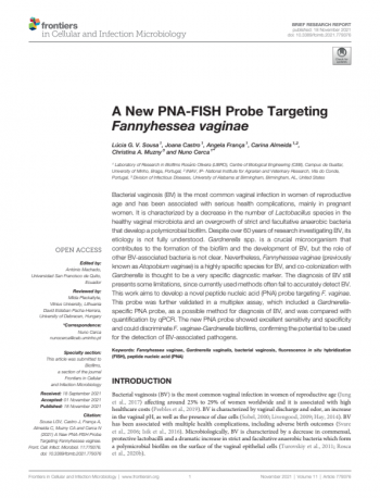 A New PNA-FISH Probe Targeting Fannyhessea vaginae Imagem 1