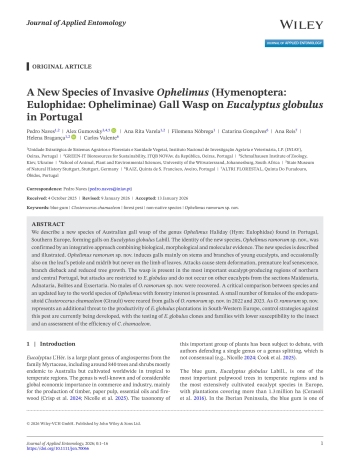 A New Species of Invasive Ophelimus (Hymenoptera: ... Imagem 1