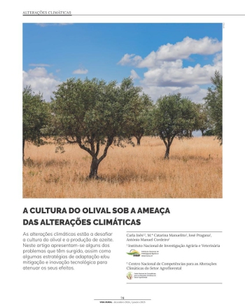 A CULTURA DO OLIVAL SOB A AMEAÇA DAS ALTERAÇÕES CLIMÁTICAS Imagem 1