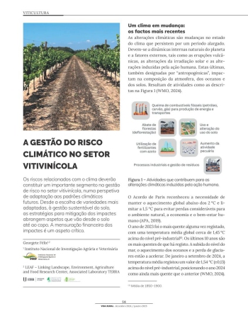 A GESTÃO DO RISCO CLIMÁTICO NO SETOR VITIVINÍCOLA Imagem 1