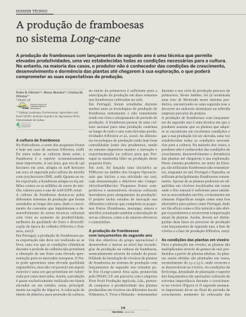 A produção de framboesas no sistema Long-cane Imagem 1