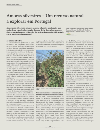 Amoras silvestres – Um recurso natural a explorar em ... Imagem 1