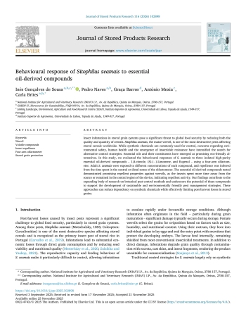 Behavioural response of Sitophilus zeamais to essential ... Imagem 1
