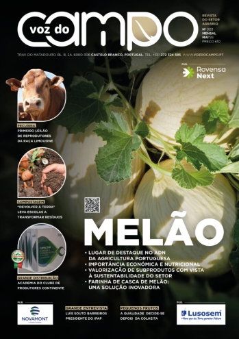 Batata-doce como alternativa aos cereais na engorda de ... Imagem 1