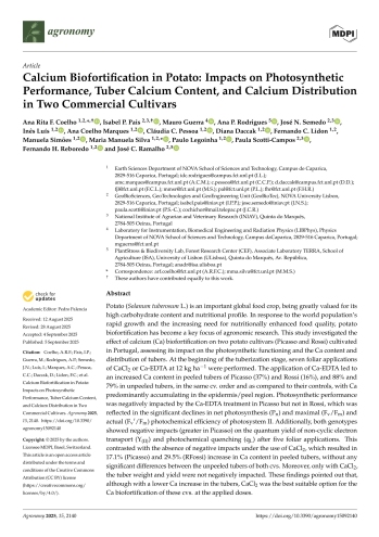 Calcium Biofortification in Potato: Impacts on ... Imagem 1