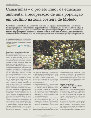 Camarinhas – o projeto Emc 2 : da educação ambiental à ... Imagem 1