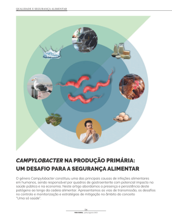 CAMPYLOBACTER NA PRODUÇÃO PRIMÁRIA: UM DESAFIO PARA A ... Imagem 1