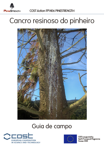 Cancro resinoso do Pinheiro - Guia de campo Imagem 1