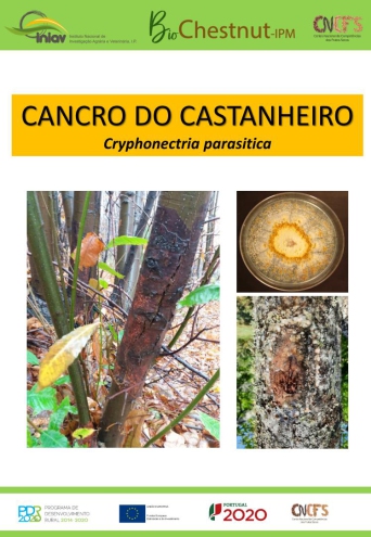 Cancro do Castanheiro, Cryphonectria parasitica Imagem 1