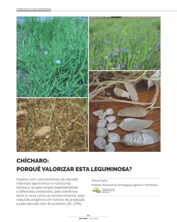 CHÍCHARO: PORQUÊ VALORIZAR ESTA LEGUMINOSA? Imagem 1