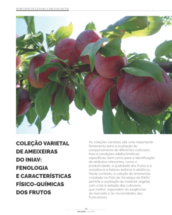 COLEÇÃO VARIETAL DE AMEIXEIRAS DO INIAV: FENOLOGIA E ... Imagem 1
