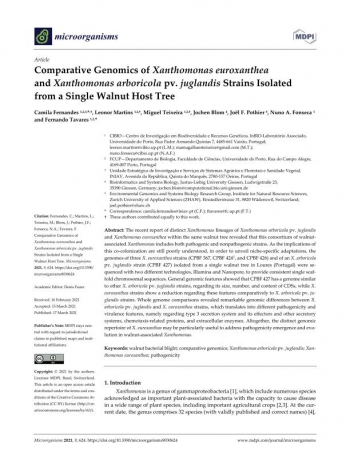 Comparative Genomics of Xanthomonas euroxanthea ... Imagem 1