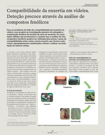 Compatibilidade da enxertia em videira. Deteção precoce ... Imagem 1