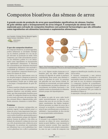 Compostos bioativos das sêmeas de arroz Imagem 1