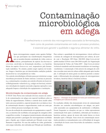 Contaminação microbiológica em adega Imagem 1