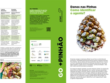 Danos nas Pinhas - Como identificar o agente? Imagem 1