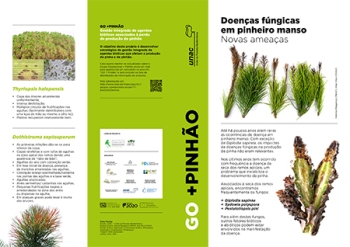 DOENÇAS FÚNGICAS EM PINHEIRO MANSO - NOVAS AMEAÇAS Imagem 1