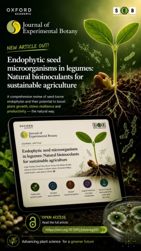 Endophytic seed microorganisms in legumes: natural ... Imagem 1