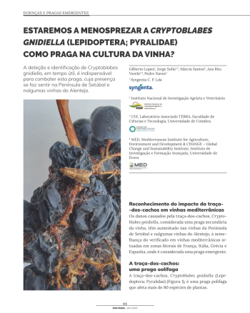 ESTAREMOS A MENOSPREZAR A CRYPTOBLABES GNIDIELLA ... Imagem 1