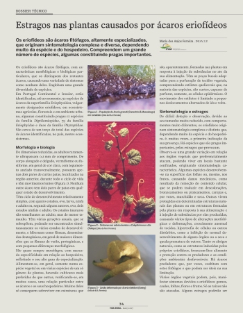 Estragos nas plantas causados por ácaros eriofídeos Imagem 1