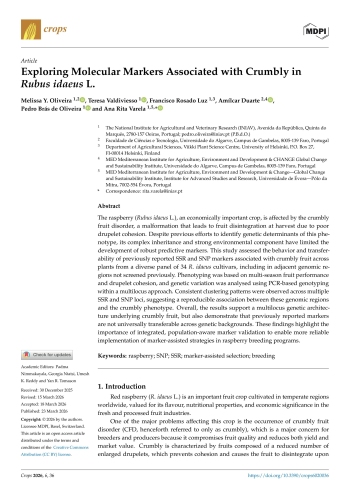 Exploring Molecular Markers Associated with Crumbly in ... Imagem 1