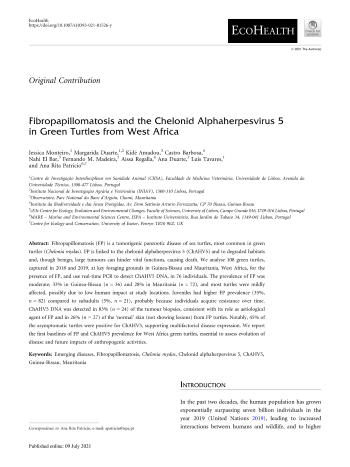 Fibropapillomatosis and the Chelonid Alphaherpesvirus 5 in ... Imagem 1
