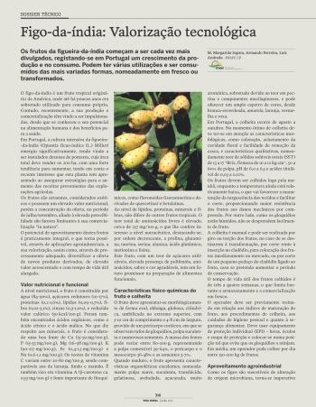 Figo-da-índia: Valorização tecnológica Imagem 1
