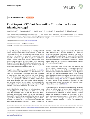 First Report of Elsinoë Fawcettii in Citrus in the Azores ... Imagem 1